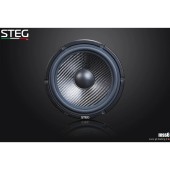 STEG MSS 6 mid-bass speakers