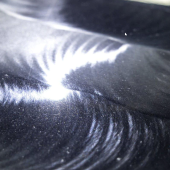 Leštička Auto Finesse DPX Dual Action Polisher EU Plug