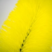 Kartáč na kola Fictech Wheel Brush