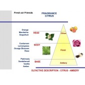 Zelená vůně do auta Mr&Mrs Fragrance Cesare Citrus