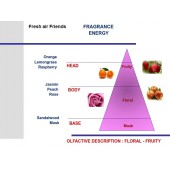 Oranžová vůně do auta Mr&Mrs Fragrance Cesare Energy