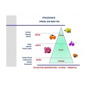 Bílá vůně do auta Mr&Mrs Fragrance Cesare Fresh Air