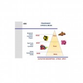 Luxusní vůně do auta Mr&Mrs Fragrance Niki Fashion Citrus & Musk