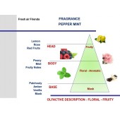 Červená vůně do auta Mr&Mrs Fragrance Pepper Mint