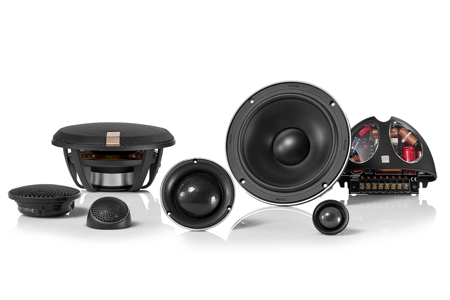Reproduktory Morel Hybrid 63