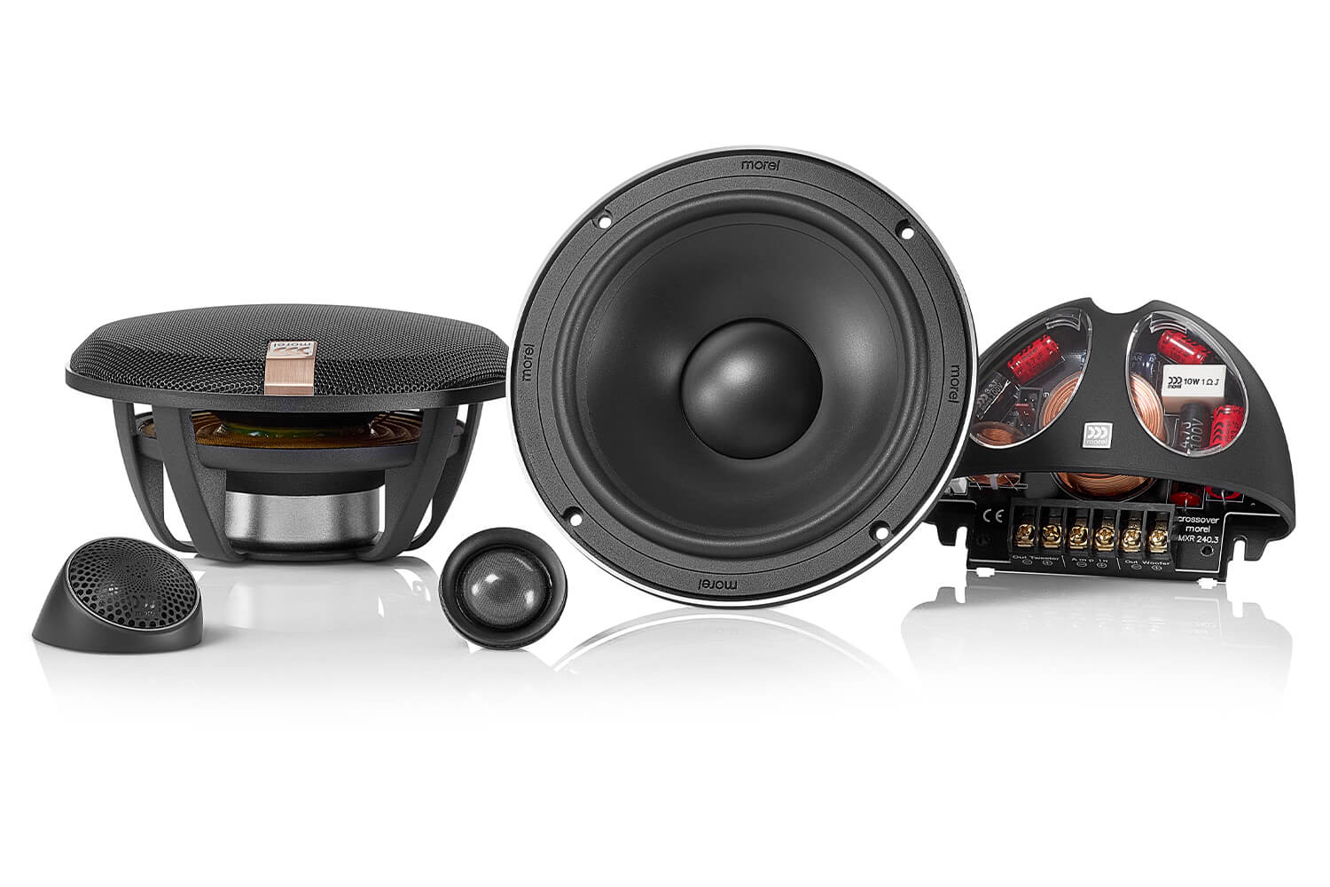 Reproduktory Morel Hybrid 62