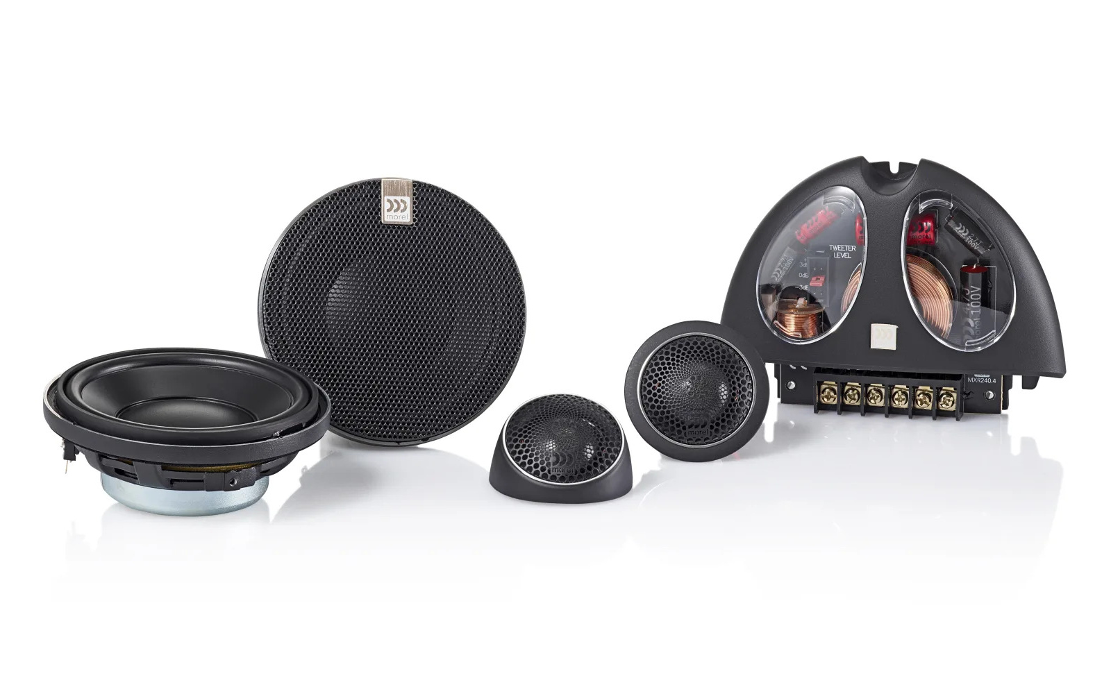 Reproduktory Morel Hybrid 42