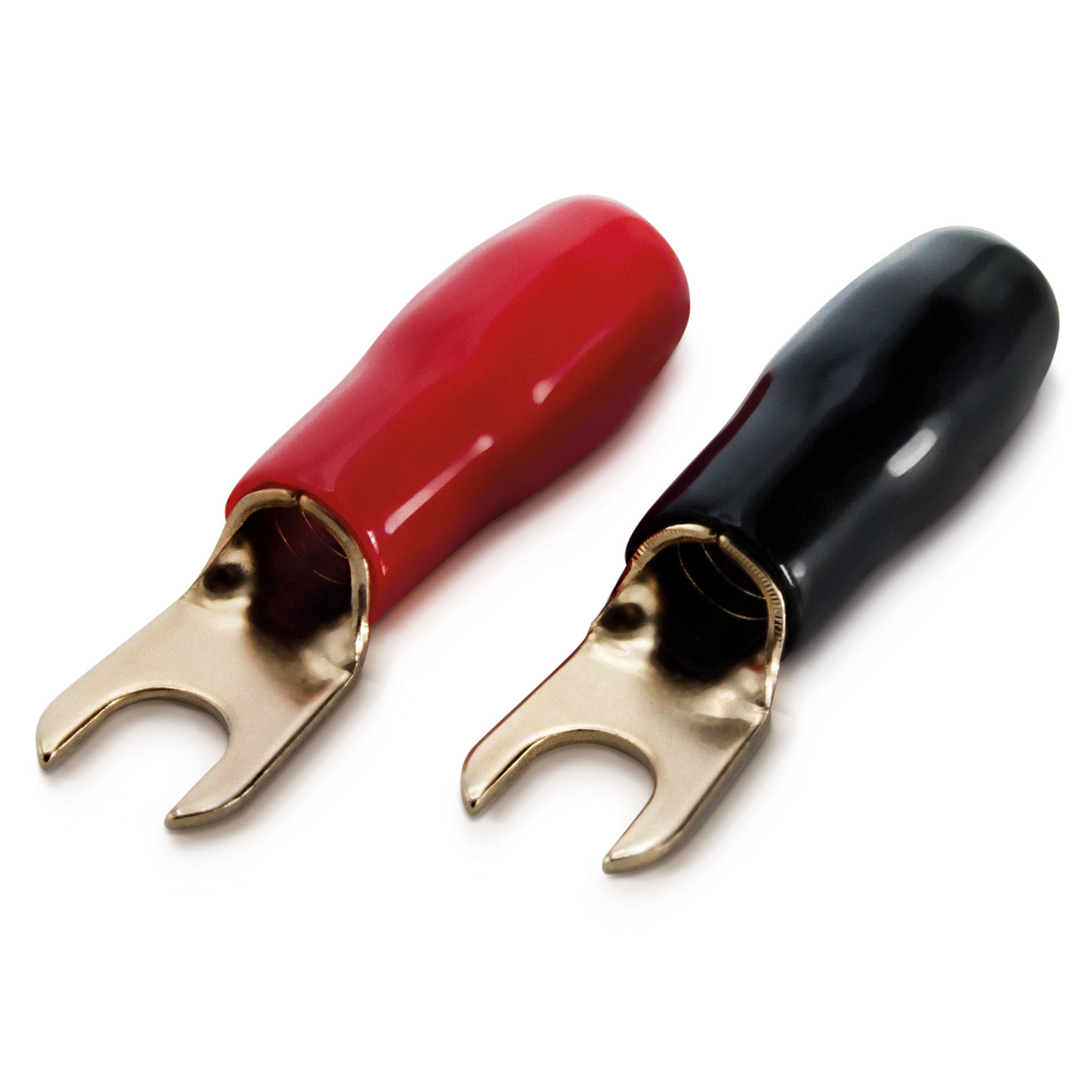 Sinus Live KSI-25 P6