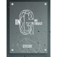 Průhledný LED panel Gyeon LED Type 2 In G we trust 50x67 cm