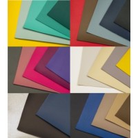 Sinus Live KL schale