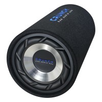 Subwoofer Crunch GTS250